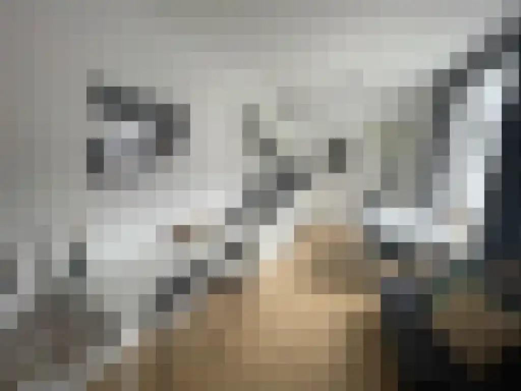 Aylvalaan 01 Maastricht foto 2