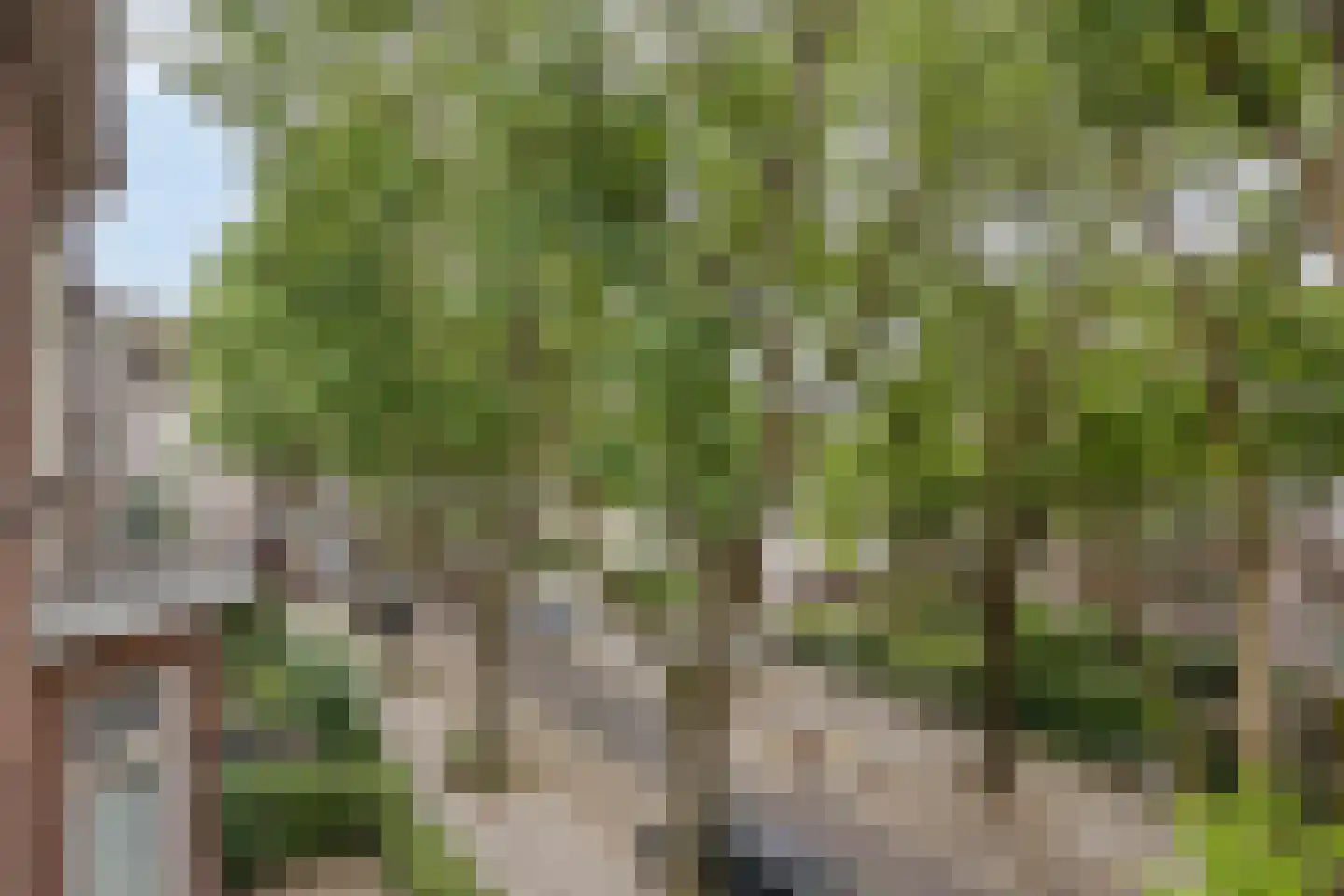 Aylvalaan 26 Maastricht thumbnail 51