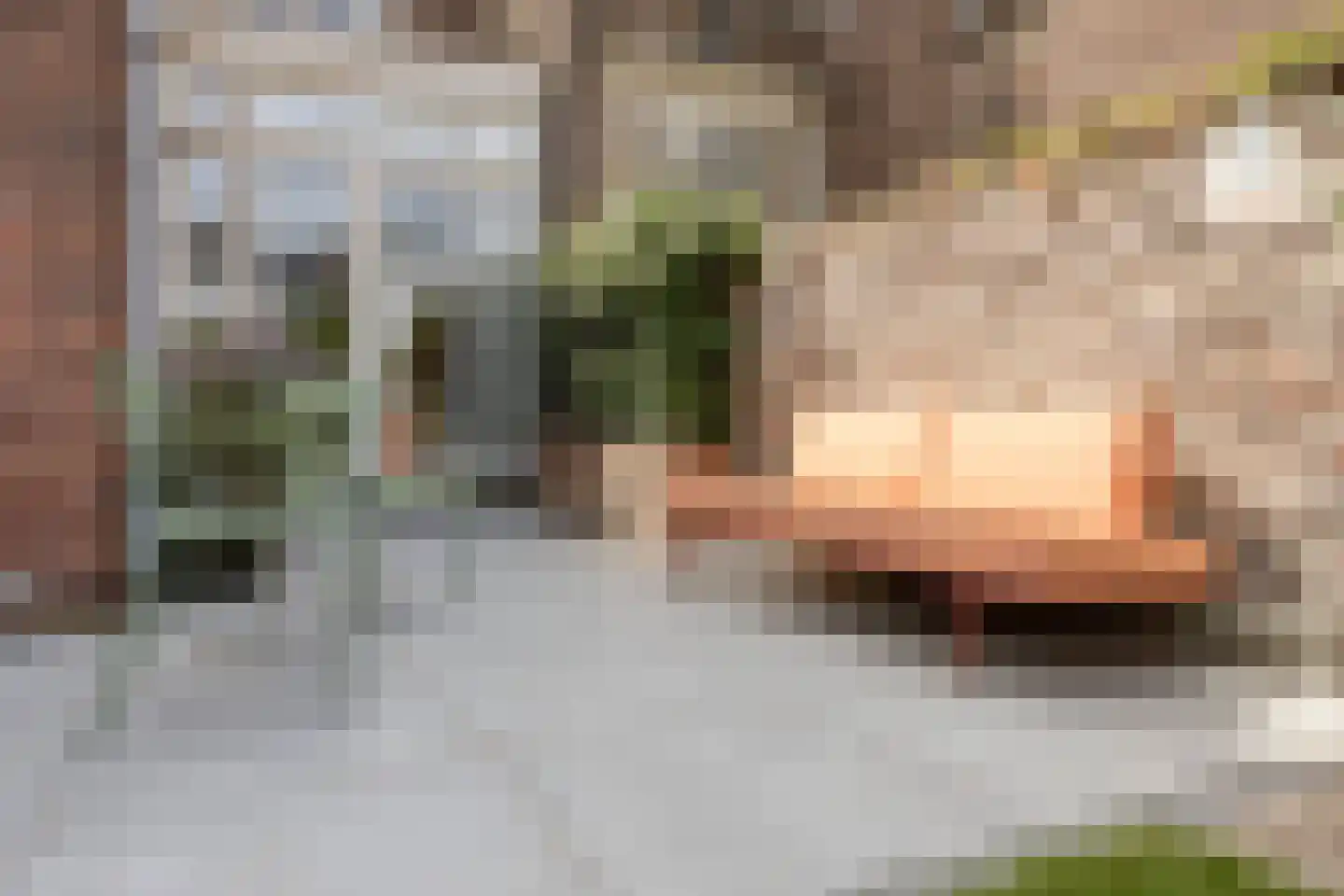 Aylvalaan 26 Maastricht thumbnail 63