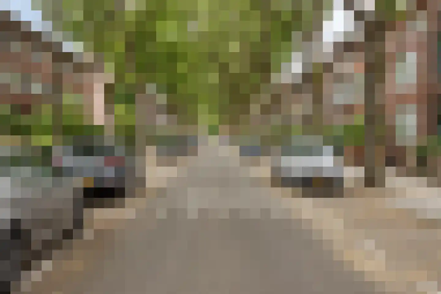 Aylvalaan 26 Maastricht thumbnail 66