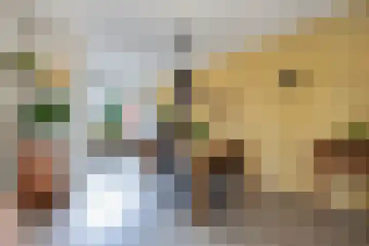 Aylvalân 7 Bakkeveen thumbnail 11
