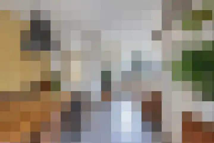 Aylvalân 7 Bakkeveen thumbnail 12