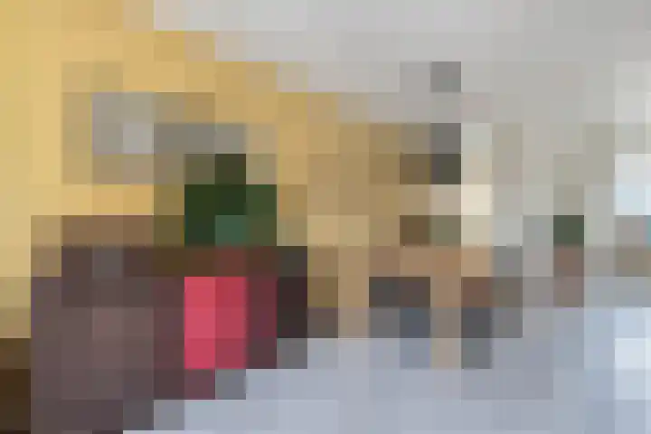 Aylvalân 7 Bakkeveen thumbnail 13