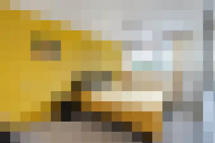 Aylvalân 7 Bakkeveen thumbnail 22