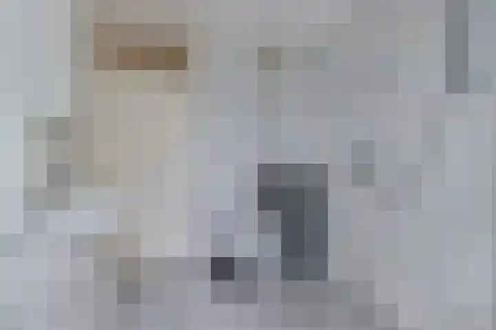Aylvalân 7 Bakkeveen thumbnail 24