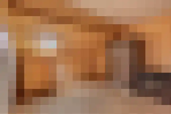 Aylvalân 7 Bakkeveen thumbnail 31