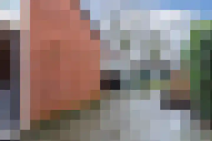 Aylvalân 7 Bakkeveen thumbnail 33