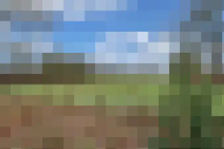 Aylvalân 7 Bakkeveen thumbnail 41