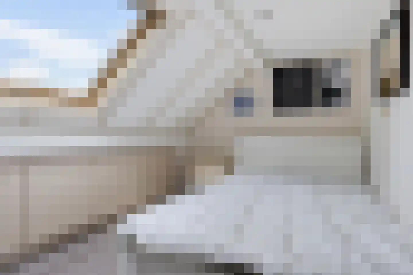 Aylvalân 9 Bakkeveen thumbnail 30