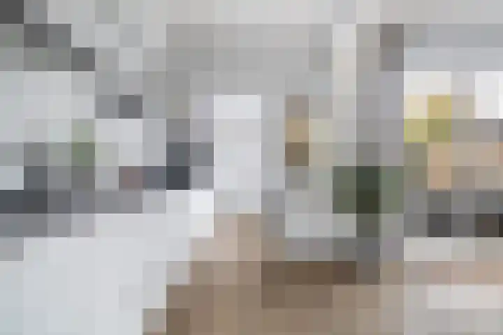 Aysmastins 11 Stiens thumbnail 11