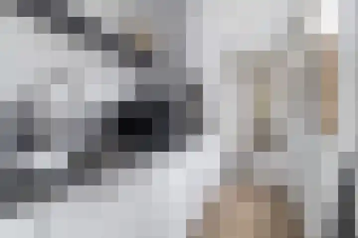 Aysmastins 11 Stiens thumbnail 12