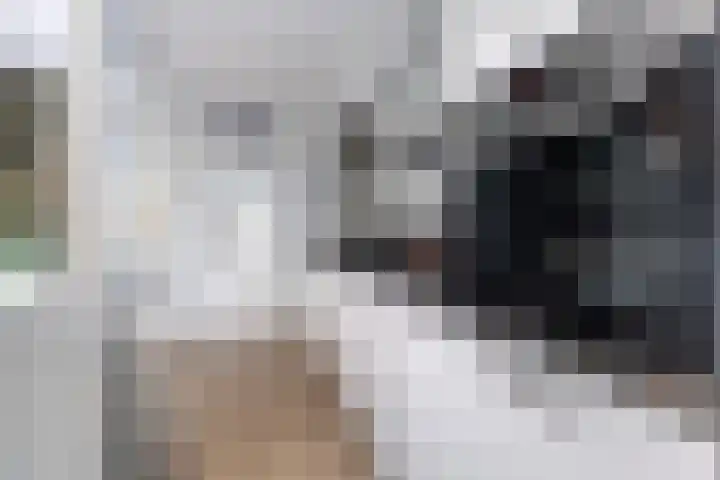 Aysmastins 11 Stiens thumbnail 13