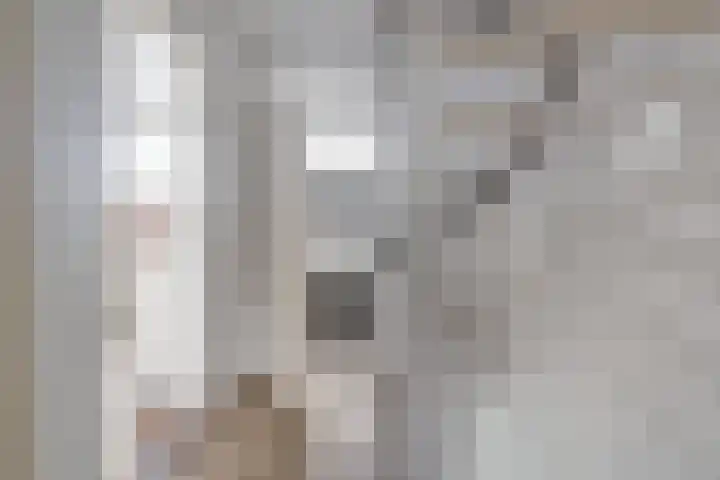 Aysmastins 11 Stiens thumbnail 19