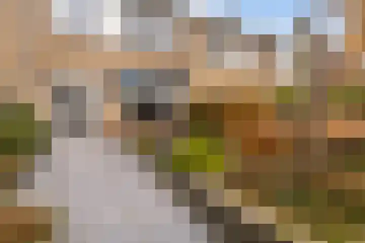 Aysmastins 11 Stiens thumbnail 30