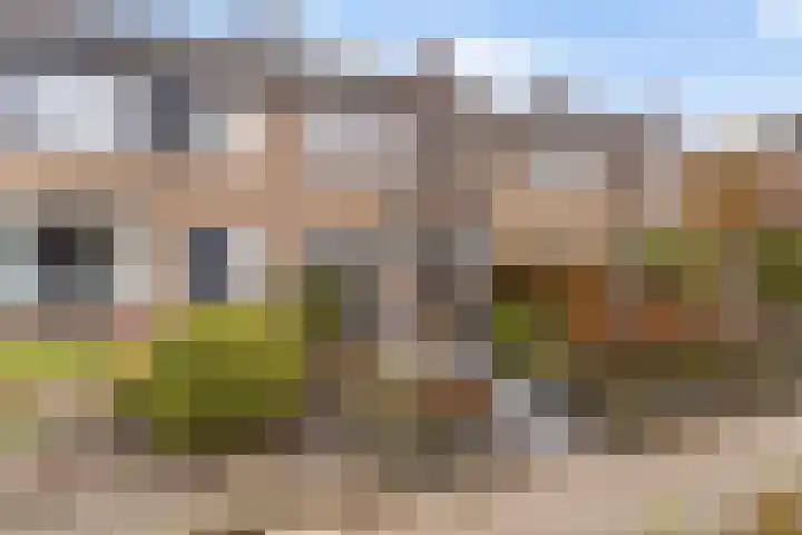 Aysmastins 11 Stiens thumbnail 33