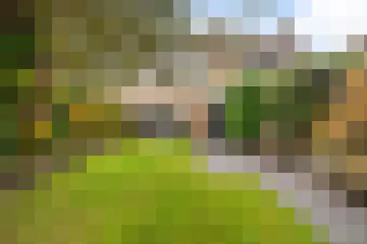 Aysmastins 11 Stiens thumbnail 39