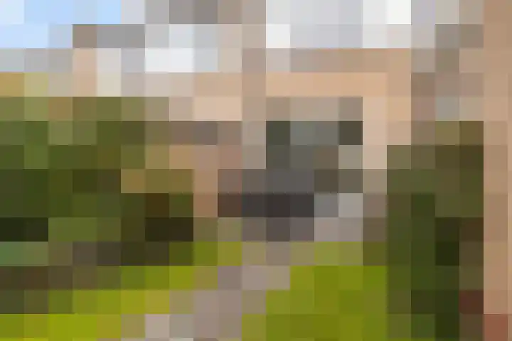 Aysmastins 11 Stiens thumbnail 40