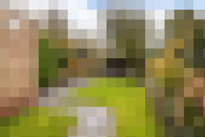 Aysmastins 11 Stiens thumbnail 42