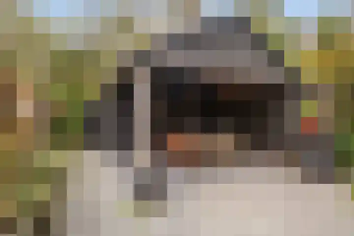 Aysmastins 11 Stiens thumbnail 43