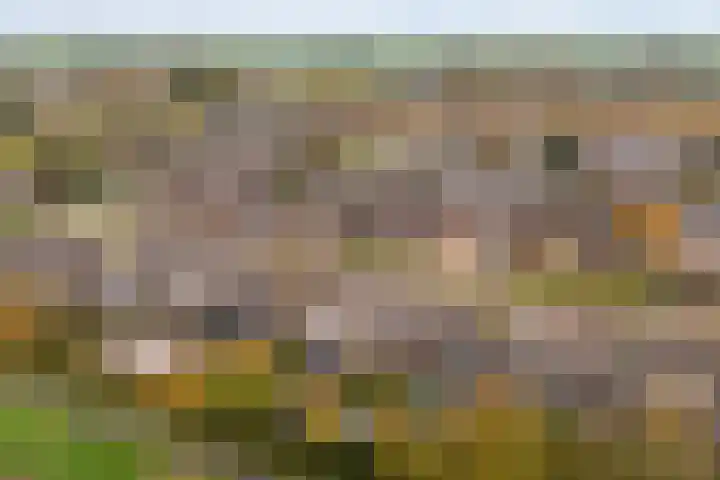 Aysmastins 11 Stiens thumbnail 44