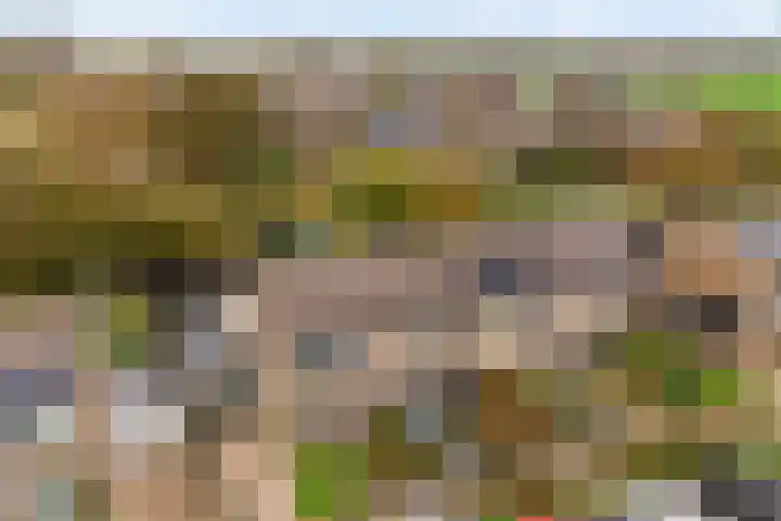 Aysmastins 11 Stiens thumbnail 45