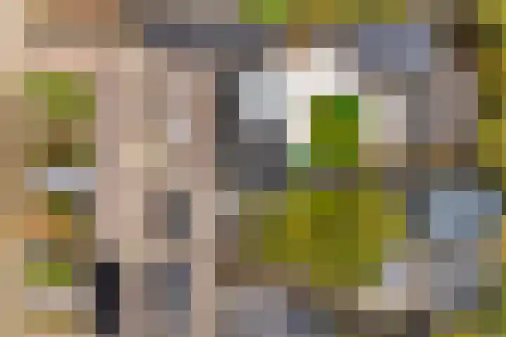 Aysmastins 11 Stiens thumbnail 46
