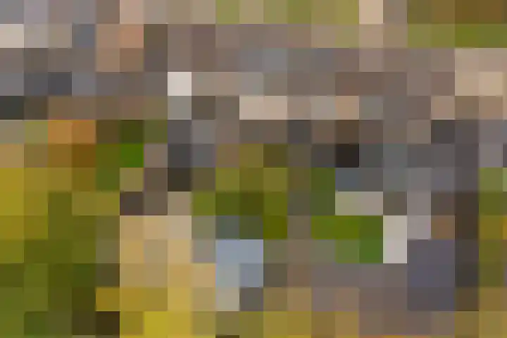 Aysmastins 11 Stiens thumbnail 47