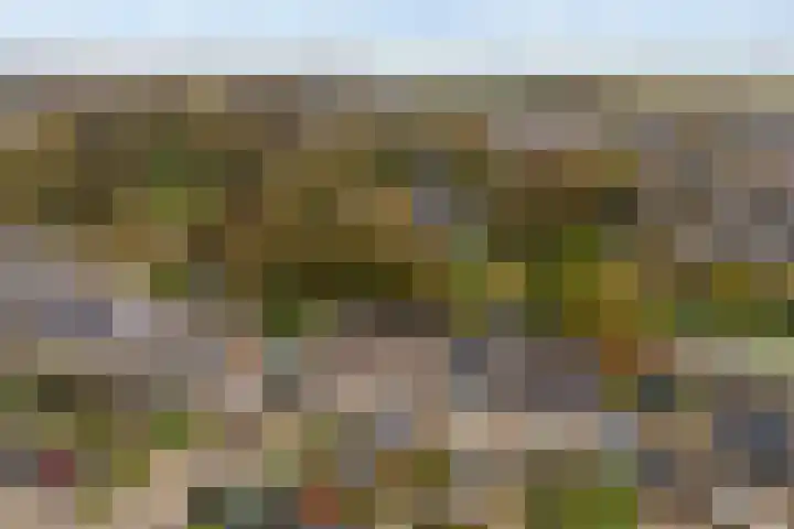 Aysmastins 11 Stiens thumbnail 48