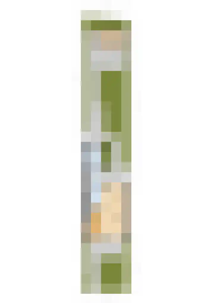 Aysmastins 11 Stiens thumbnail 57