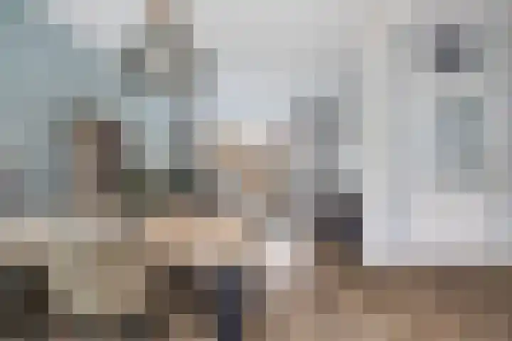 Aysmastins 11 Stiens thumbnail 8