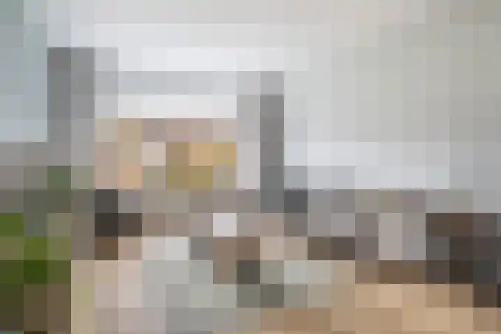 Aysmastins 11 Stiens thumbnail 9