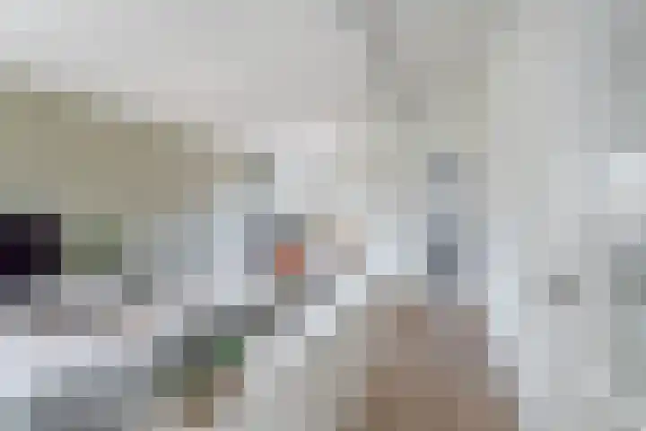 Aysmastins 20 Stiens thumbnail 22
