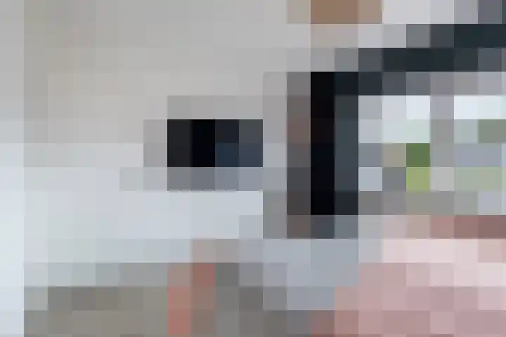 Aysmastins 20 Stiens thumbnail 30
