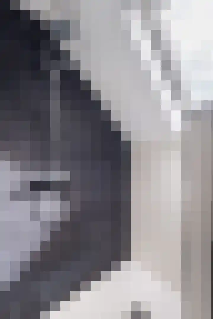 Aysmastins 20 Stiens thumbnail 40