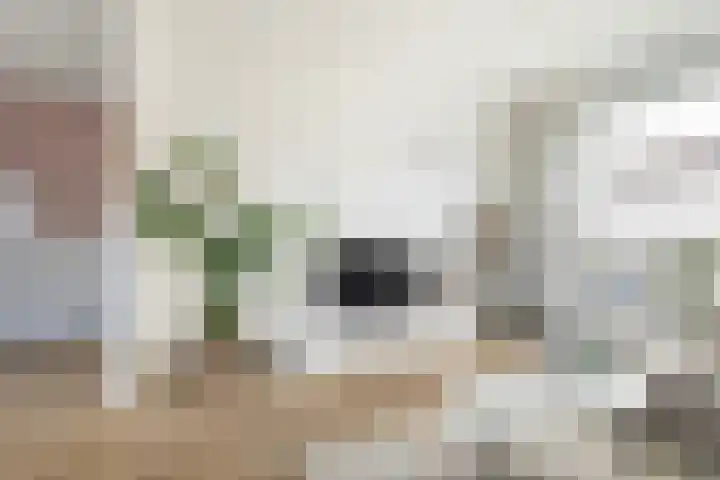 Aysmastins 21 Stiens thumbnail 15
