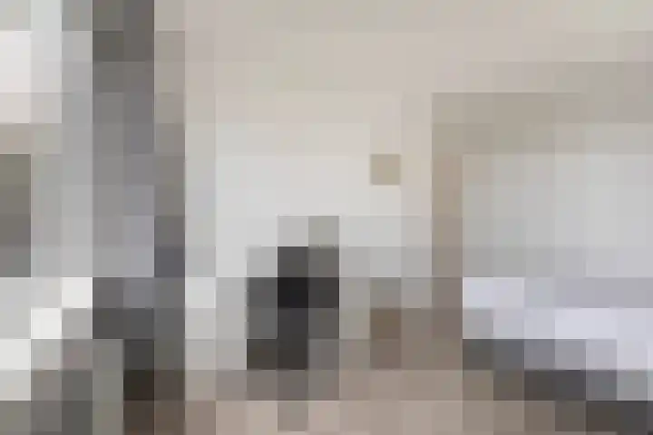 Aysmastins 21 Stiens thumbnail 22