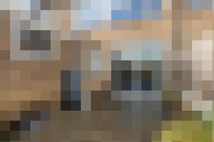 Aysmastins 21 Stiens thumbnail 29