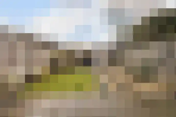 Aysmastins 21 Stiens thumbnail 33