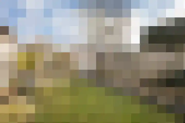 Aysmastins 21 Stiens thumbnail 34