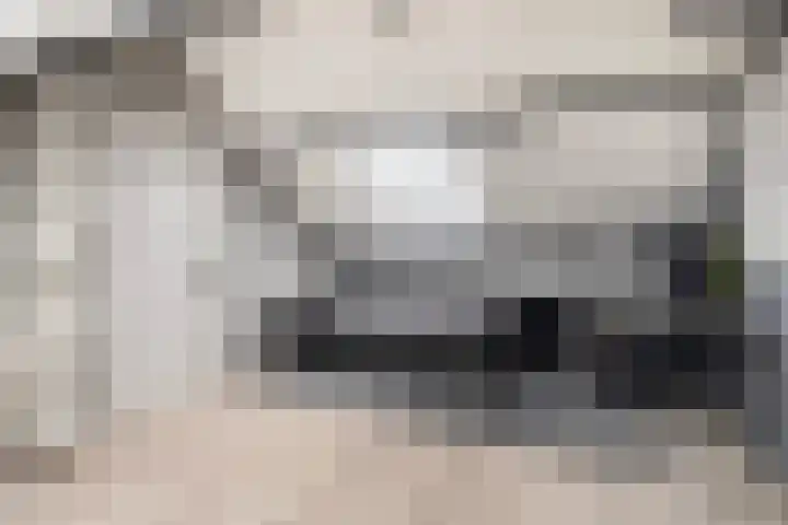 Aysmastins 21 Stiens thumbnail 4