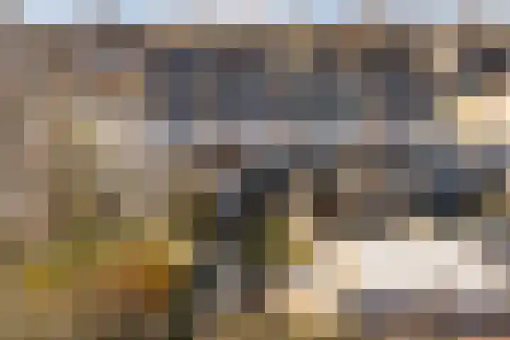 Aysmastins 21 Stiens thumbnail 45
