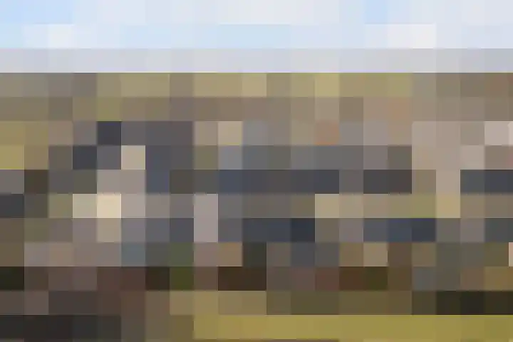 Aysmastins 21 Stiens thumbnail 47
