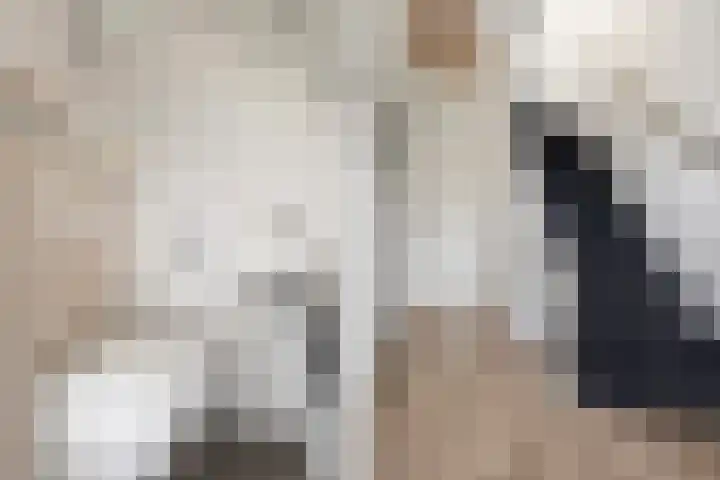 Aysmastins 21 Stiens thumbnail 7