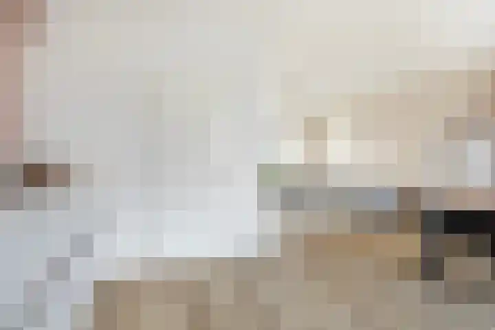 Aysmastins 21 Stiens thumbnail 8