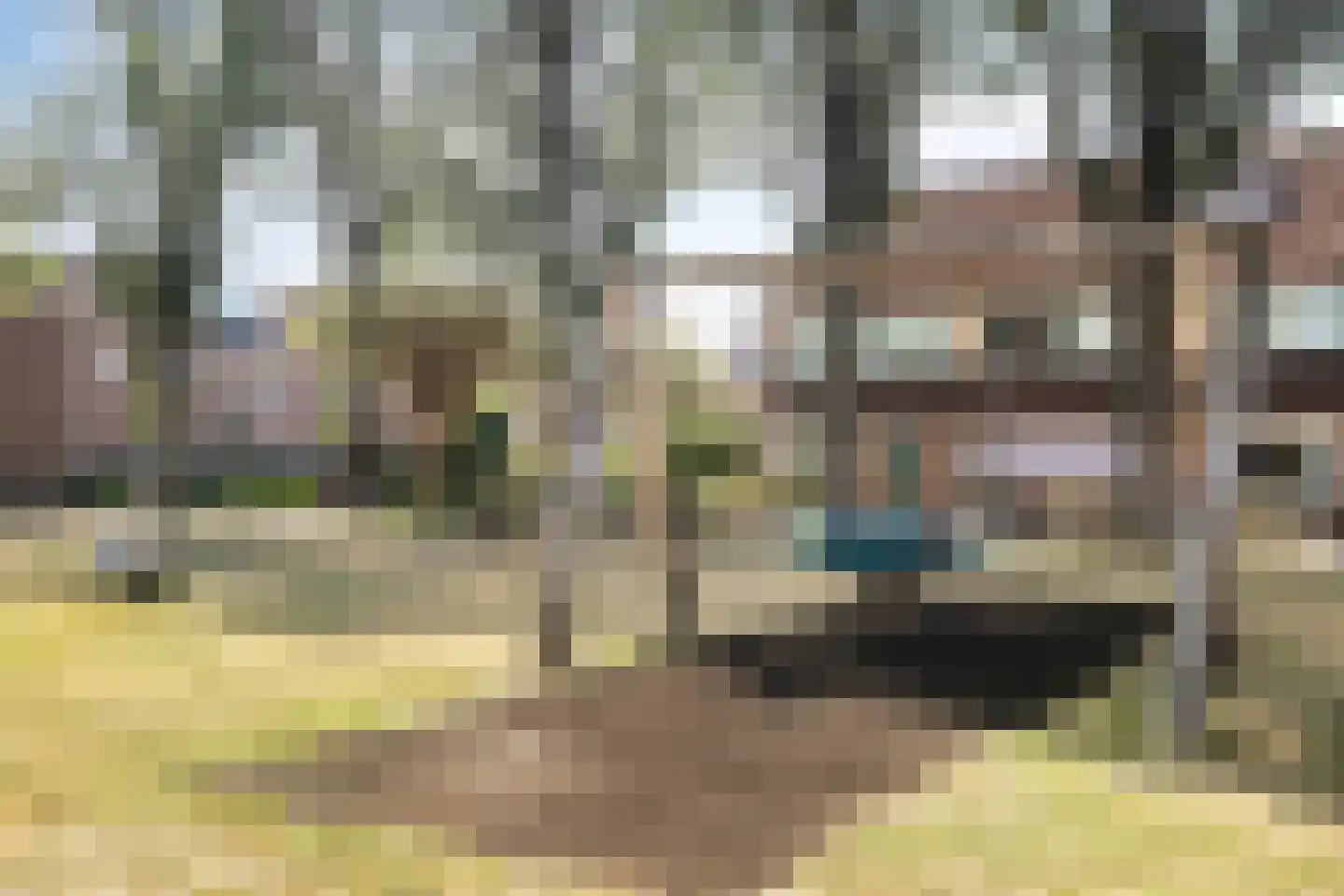 Azalea 5 Veenendaal thumbnail 33