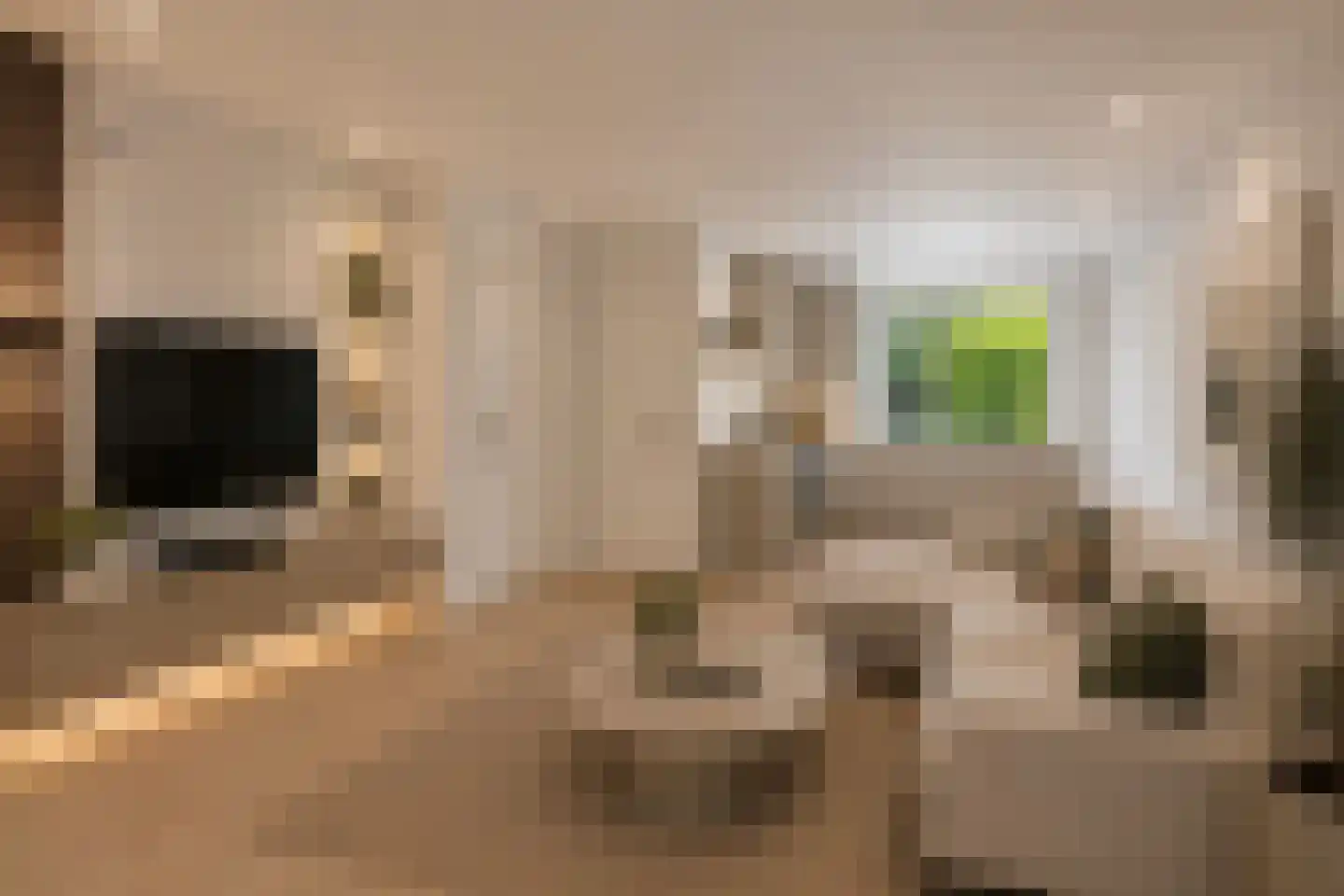Azalea 5 Veenendaal thumbnail 5