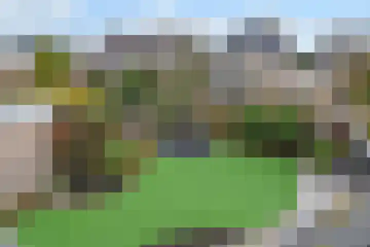 Azalea 7 Nootdorp thumbnail 45