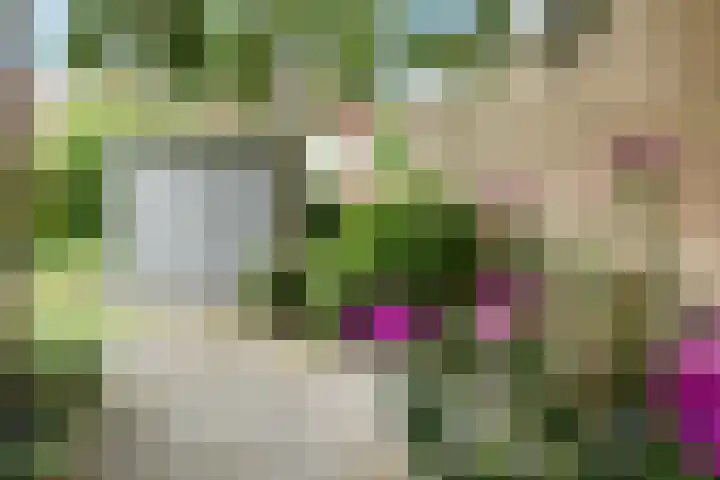 Azalea 8 Nootdorp thumbnail 18