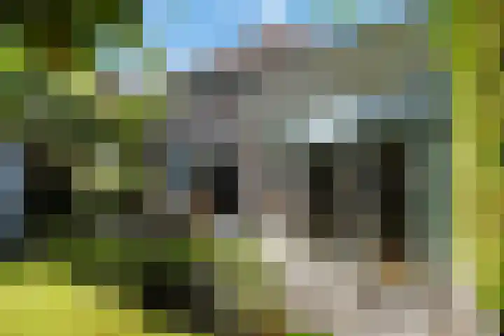 Azalea 8 Nootdorp foto 3