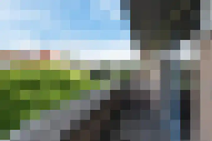 Azalea 8 Nootdorp thumbnail 40